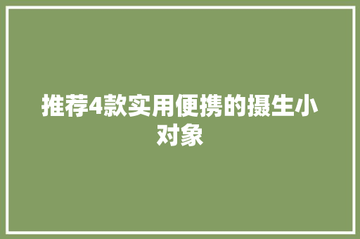 推荐4款实用便携的摄生小对象 推荐4款实用便携的摄生小对象 人工智能