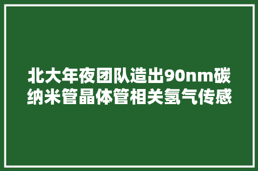 北大年夜团队造出90nm碳纳米管晶体管相关氢气传感器产品已经上市 北大年夜团队造出90nm碳纳米管晶体管相关氢气传感器产品已经上市 智能家居