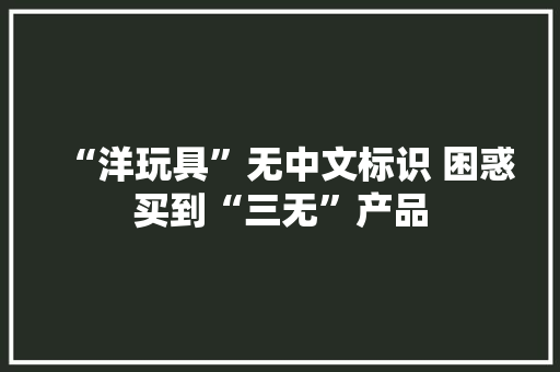 “洋玩具”无中文标识 困惑买到“三无”产品 “洋玩具”无中文标识 困惑买到“三无”产品 智能家居