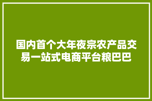 国内首个大年夜宗农产品交易一站式电商平台粮巴巴