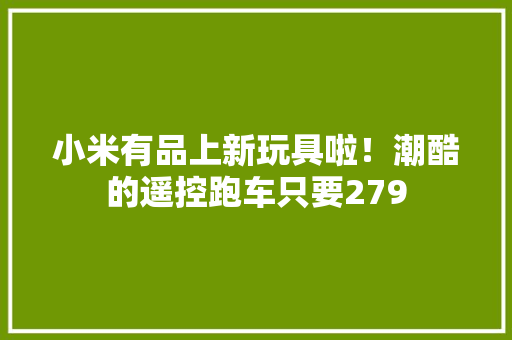 小米有品上新玩具啦！潮酷的遥控跑车只要279
