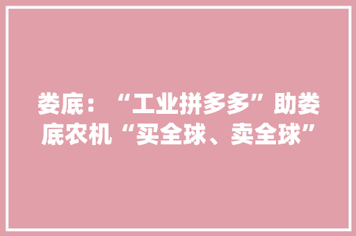 娄底：“工业拼多多”助娄底农机“买全球、卖全球”|湖南日报·视频