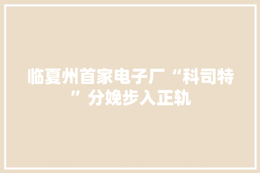 临夏州首家电子厂“科司特”分娩步入正轨