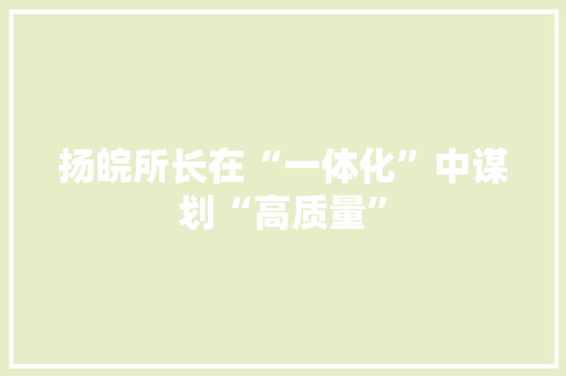 扬皖所长在“一体化”中谋划“高质量”