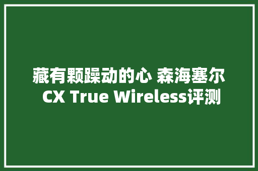 藏有颗躁动的心 森海塞尔 CX True Wireless评测 藏有颗躁动的心 森海塞尔 CX True Wireless评测 人工智能
