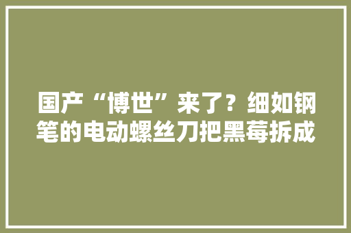 国产“博世”来了？细如钢笔的电动螺丝刀把黑莓拆成了零件