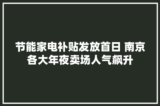 节能家电补贴发放首日 南京各大年夜卖场人气飙升