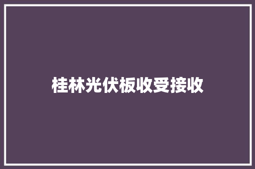 桂林光伏板收受接收 桂林光伏板收受接收 智能科技