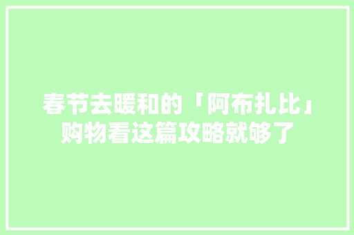 春节去暖和的「阿布扎比」购物看这篇攻略就够了
