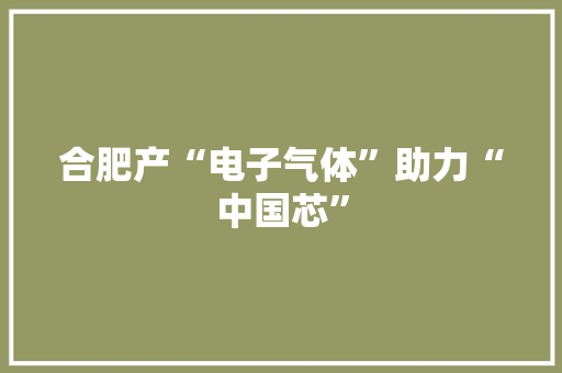 合肥产“电子气体”助力“中国芯” 合肥产“电子气体”助力“中国芯” 智能家居
