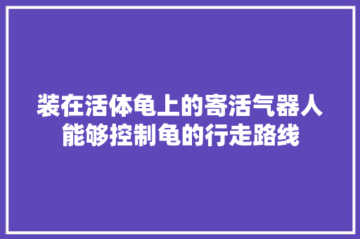 装在活体龟上的寄活气器人能够控制龟的行走路线