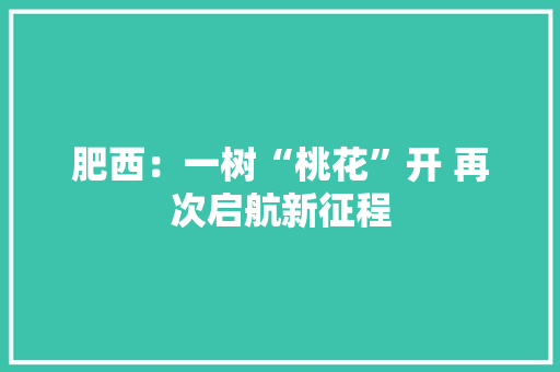肥西：一树“桃花”开 再次启航新征程