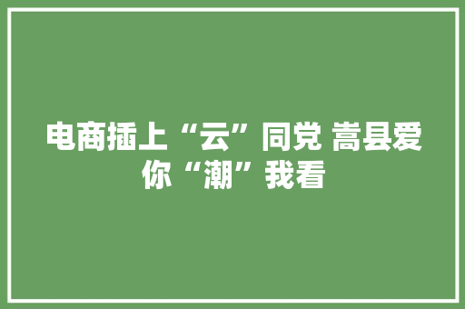 电商插上“云”同党 嵩县爱你“潮”我看 电商插上“云”同党 嵩县爱你“潮”我看 智能科技
