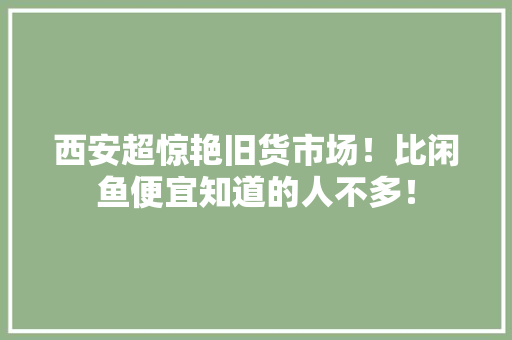 西安超惊艳旧货市场！比闲鱼便宜知道的人不多！ 西安超惊艳旧货市场！比闲鱼便宜知道的人不多！ 互联通信