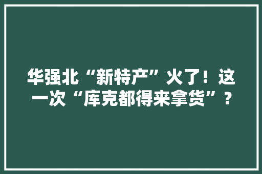 华强北“新特产”火了！这一次“库克都得来拿货”？ 华强北“新特产”火了！这一次“库克都得来拿货”？ 人工智能