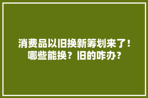 消费品以旧换新筹划来了！哪些能换？旧的咋办？