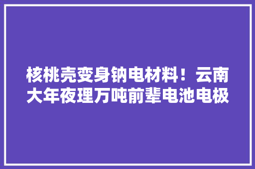 核桃壳变身钠电材料！云南大年夜理万吨前辈电池电极材料项目投产 核桃壳变身钠电材料！云南大年夜理万吨前辈电池电极材料项目投产 互联通信