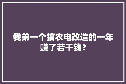 我弟一个搞农电改造的一年赚了若干钱？