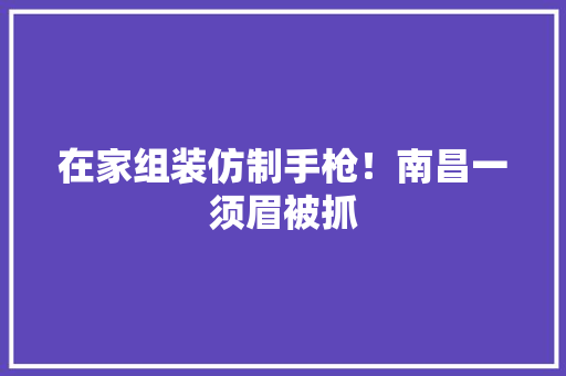 在家组装仿制手枪！南昌一须眉被抓