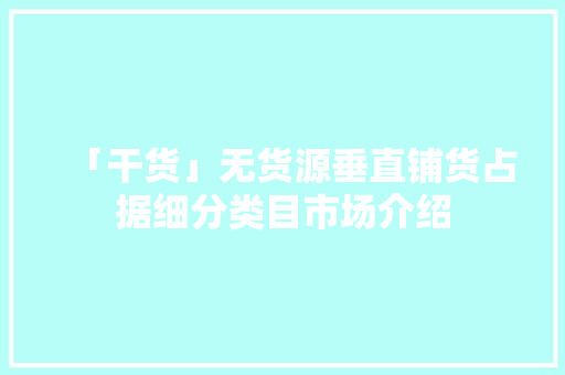「干货」无货源垂直铺货占据细分类目市场介绍