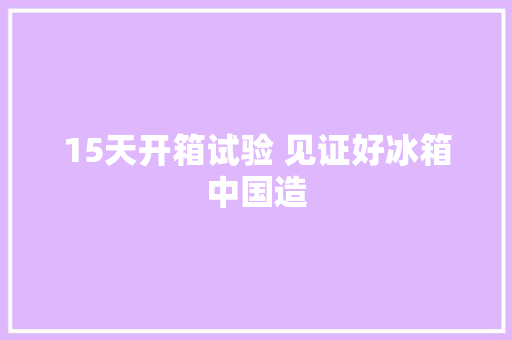 15天开箱试验 见证好冰箱中国造