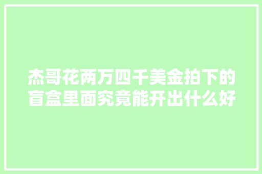 杰哥花两万四千美金拍下的盲盒里面究竟能开出什么好器械...