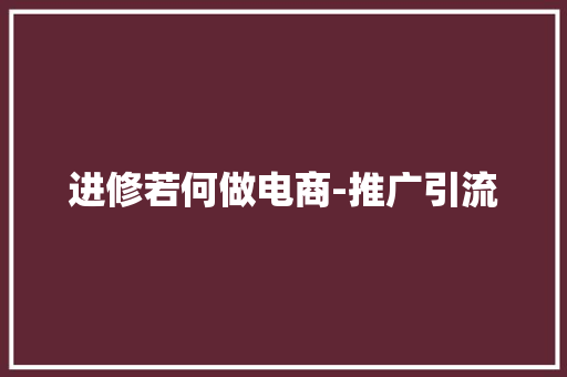 进修若何做电商-推广引流
