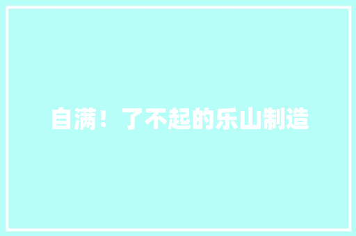 自满！了不起的乐山制造