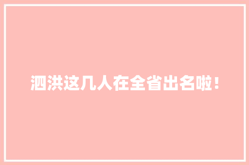 泗洪这几人在全省出名啦！