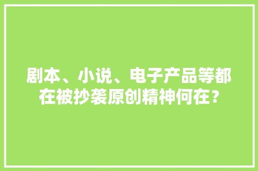 剧本、小说、电子产品等都在被抄袭原创精神何在？