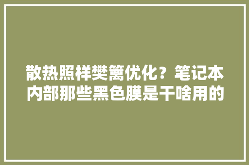 散热照样樊篱优化？笔记本内部那些黑色膜是干啥用的？ 散热照样樊篱优化？笔记本内部那些黑色膜是干啥用的？ 互联通信