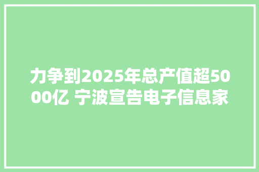 力争到2025年总产值超5000亿 宁波宣告电子信息家当十四五筹划