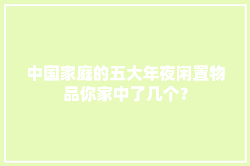 中国家庭的五大年夜闲置物品你家中了几个？