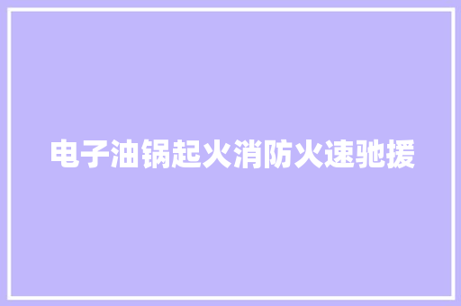 电子油锅起火消防火速驰援 电子油锅起火消防火速驰援 智能科技