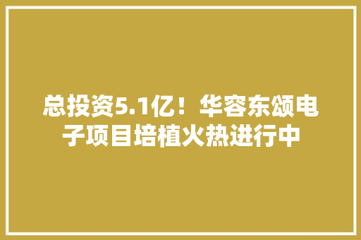 总投资5.1亿！华容东颂电子项目培植火热进行中 总投资5.1亿！华容东颂电子项目培植火热进行中 互联通信