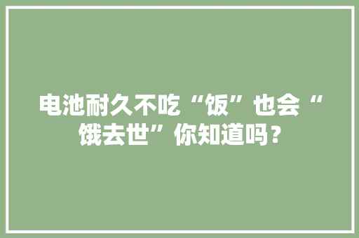 电池耐久不吃“饭”也会“饿去世”你知道吗？
