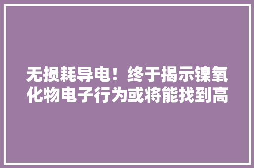 无损耗导电！终于揭示镍氧化物电子行为或将能找到高温超导体 无损耗导电！终于揭示镍氧化物电子行为或将能找到高温超导体 智能家居