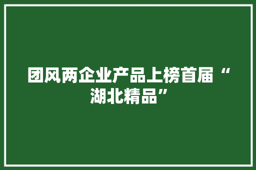 团风两企业产品上榜首届“湖北精品”