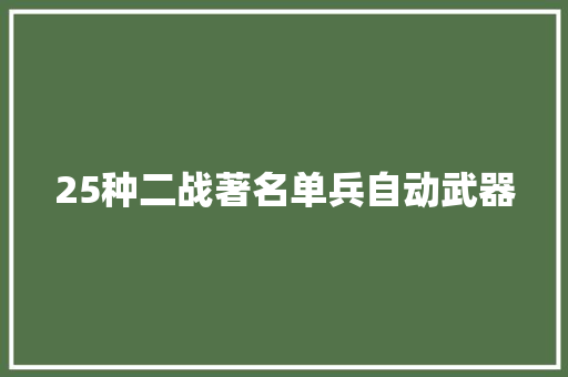 25种二战著名单兵自动武器
