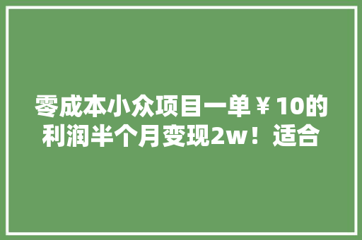 零成本小众项目一单￥10的利润半个月变现2w！适合新手小白
