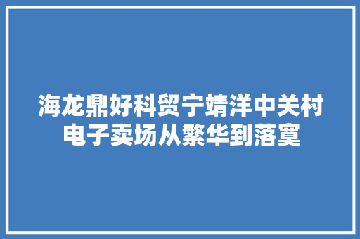 海龙鼎好科贸宁靖洋中关村电子卖场从繁华到落寞