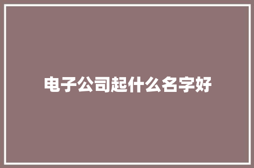 电子公司起什么名字好 电子公司起什么名字好 智能家居