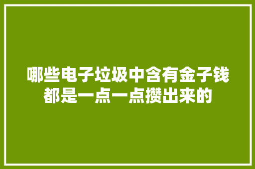 哪些电子垃圾中含有金子钱都是一点一点攒出来的