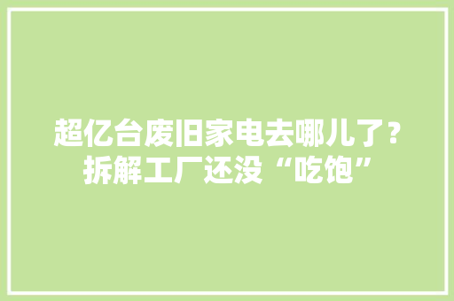 超亿台废旧家电去哪儿了？拆解工厂还没“吃饱”