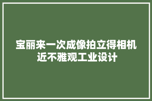 宝丽来一次成像拍立得相机 近不雅观工业设计