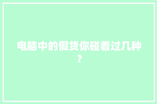电脑中的假货你碰着过几种？