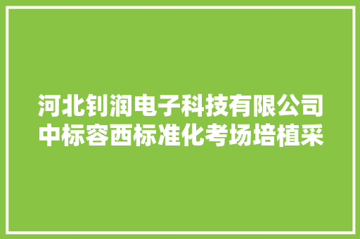 河北钊润电子科技有限公司中标容西标准化考场培植采购项目金额963520元