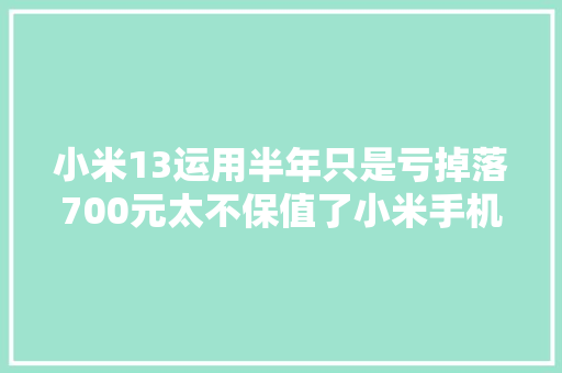 小米13运用半年只是亏掉落700元太不保值了小米手机
