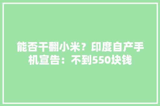 能否干翻小米？印度自产手机宣告：不到550块钱
