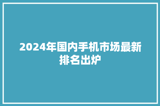 2024年国内手机市场最新排名出炉